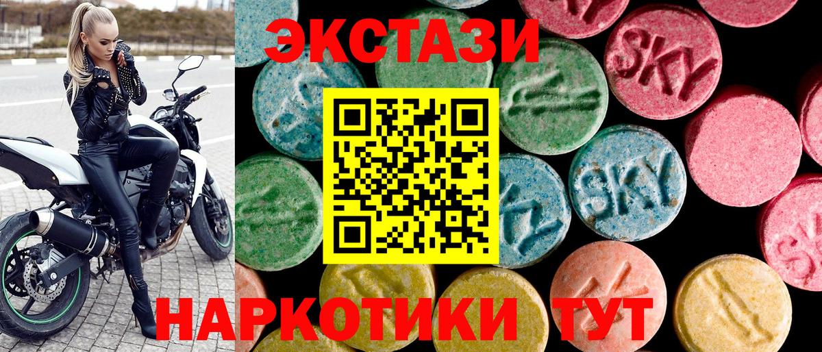 Ecstasy  Экстази бентли  Вход с VPN  Самара  Ecstasy Philipp Plein 
