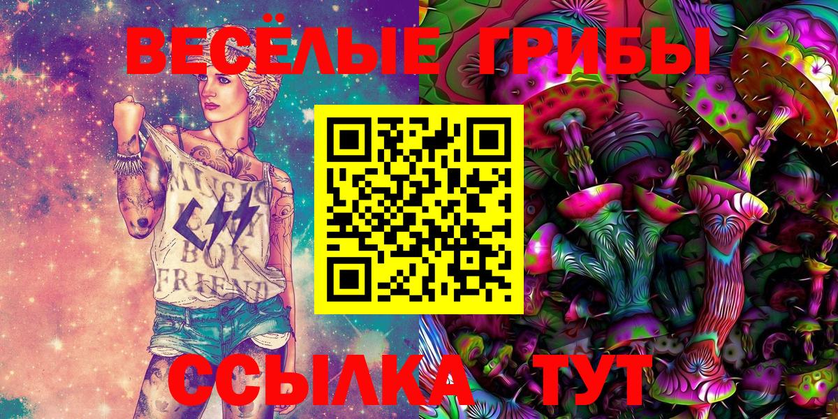 Галлюциногенные грибы Cubensis Самара