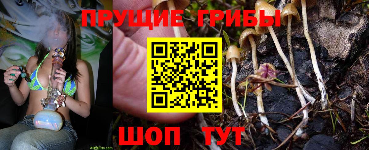 Самара  Галлюциногенные грибы Psilocybe  Вход с VPN  Галлюциногенные грибы ЛСД 